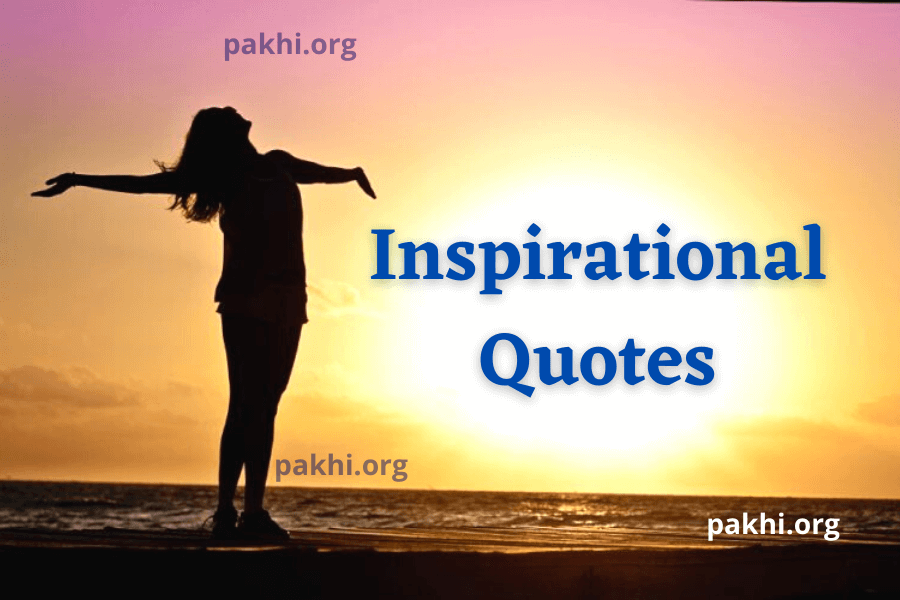 First-class 50 Friendship Quotes to Celebrate Your Bestie - PAKHI.ORG